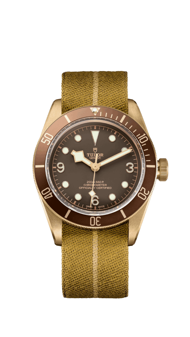 Tudor Black Bay Bronze Boutique Edition (79012M)